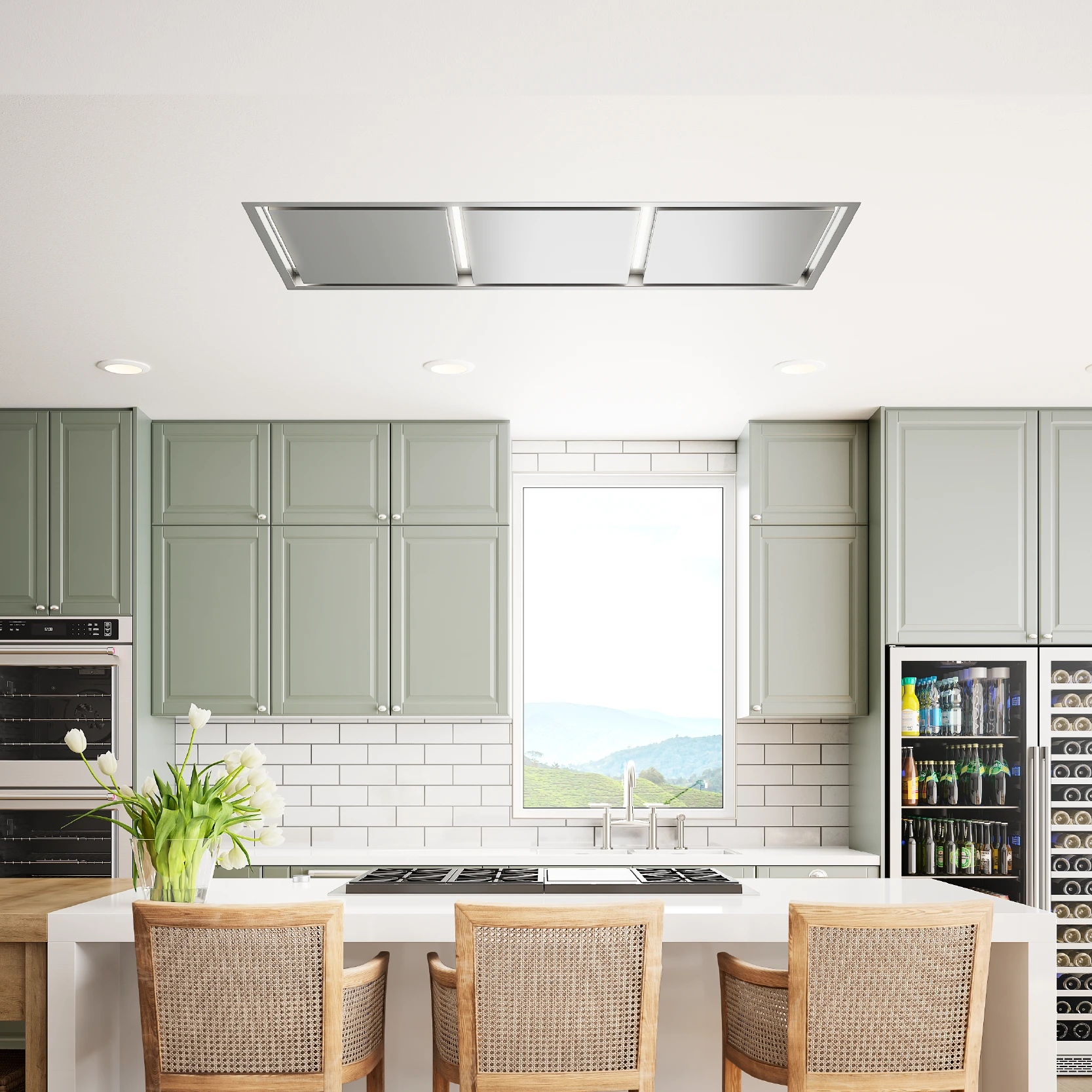 Ceiling Range Hood